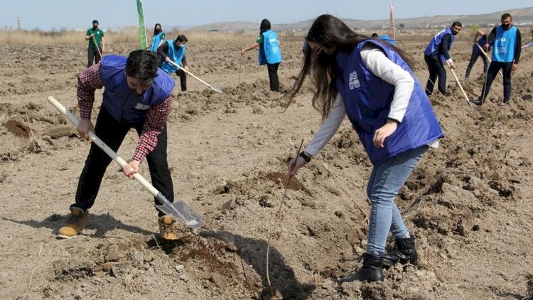    “Yaşıl Marafon” çərçivəsində daha 2500 ağac əkildi   