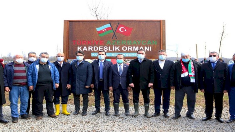    Kocaelidə Azərbaycan-Türkiyə qardaşlıq meşəsi salındı - Fotolar   