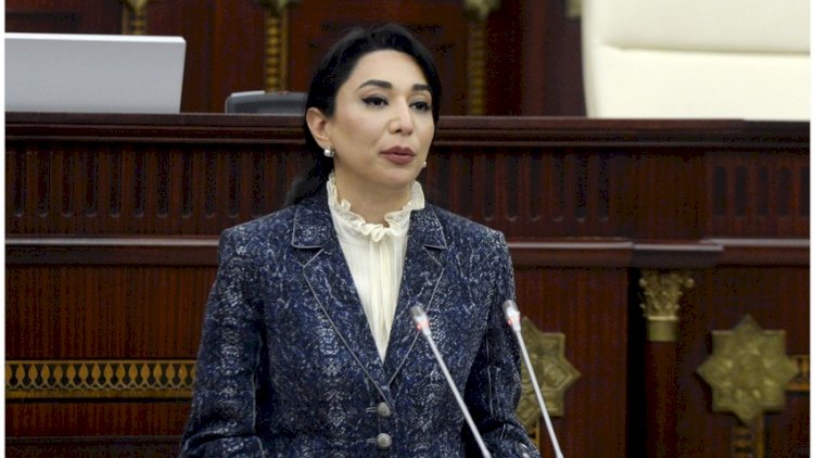    Ombudsman beynəlxalq təşkilatlara müraciət etdi -   VİDEO
