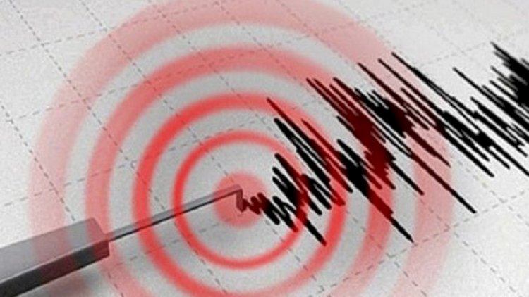    Yeni Zelandiyada 5,8 bal gücündə zəlzələ oldu   
