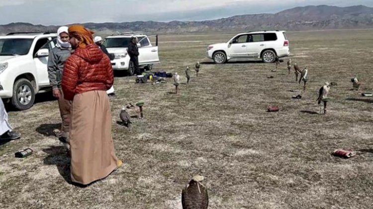    Ovçu ərəbləri Azərbaycana bu məmur gətirib?    
