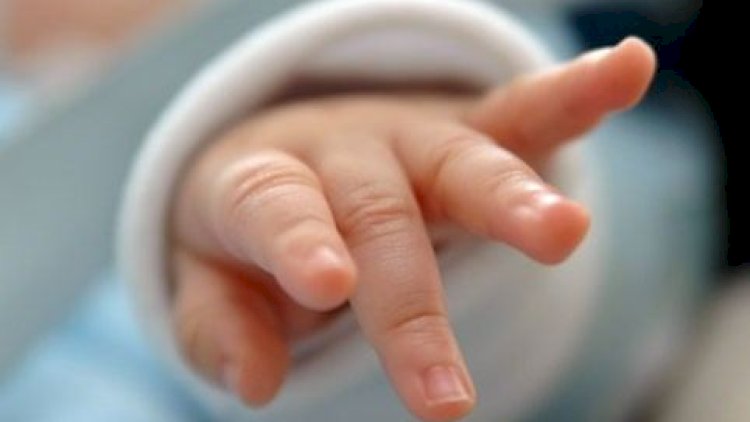    Ölkədə yeni doğulan körpələrin sayı açıqlandı   