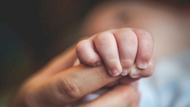    Daha bir şəhidimizin övladı dünyaya gəldi - Fotolar   