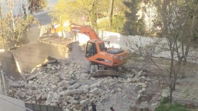    Paytaxtda ağacları kəsən şəxsə qarşı tədbirlər görülür - Foto   