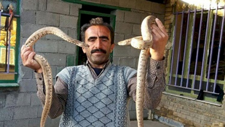    Zəhərli ilanlarla yaşayan adam - Foto   