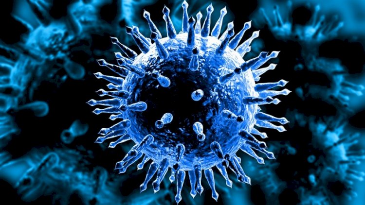    Koronavirus beyinə necə təsir edir? -   Mütəxəssis rəyi