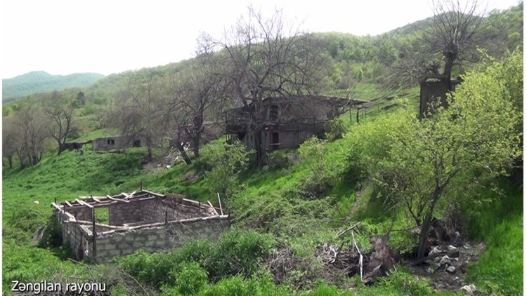    Zəngilanın Nəcəflər kəndindən   VİDEOREPORTAJ