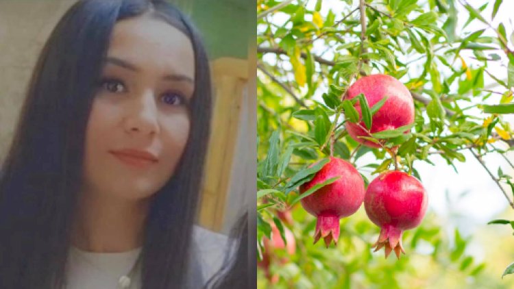    Sabirabadda gənc qadın özünü niyə dar ağacından asıb?   - Təfərrüatlar
