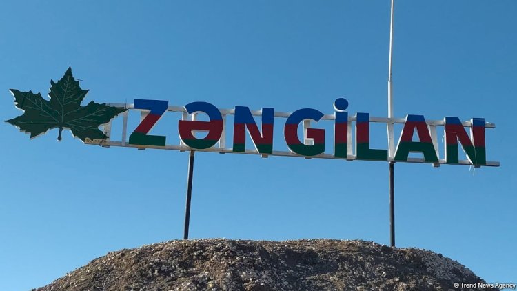    İsrail Zəngilanda camış ferması tikəcək   