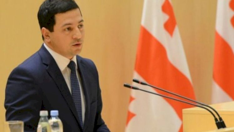    Gürcüstan-Azərbaycan parlamentlərarası dostluq qrupuna yeni rəhbər seçildi   
