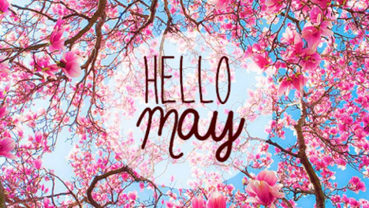    May ayının hava proqnozu açıqlandı   