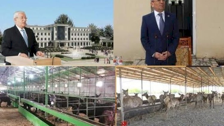    İsmayıl Vəliyevin eşşəkləri, Alimpaşa Məmmədovun maralları...   - Həbs olunan icra başçılarının ekzotik biznesləri