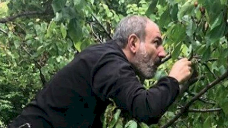    “10 noyabrda Paşinyan bunkerdə gizlənib canlı yayım edirdi” - Ovannisyan sirləri açdı   