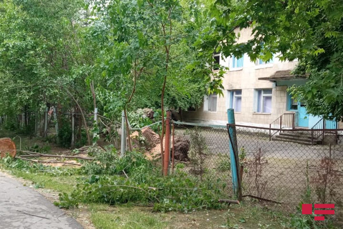 Külək şəhərin altını üstünə çevirdi: Ağaclar aşdı, evlər yararsız hala düşdü  - Fotolar