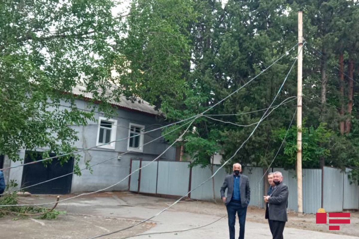 Külək şəhərin altını üstünə çevirdi: Ağaclar aşdı, evlər yararsız hala düşdü  - Fotolar
