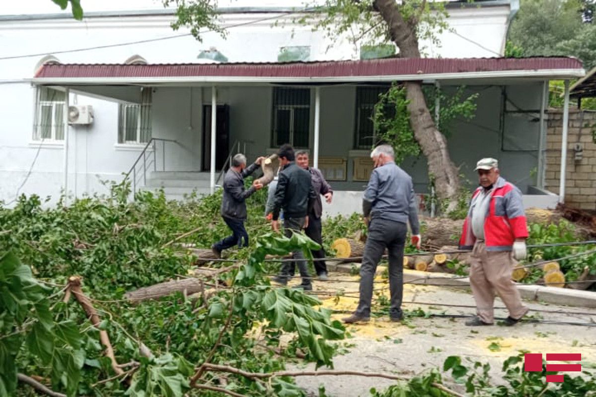 Külək şəhərin altını üstünə çevirdi: Ağaclar aşdı, evlər yararsız hala düşdü  - Fotolar