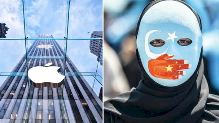    Uyğur türklərini zorla işlədərək “iPhone” istehsal edirlər?   