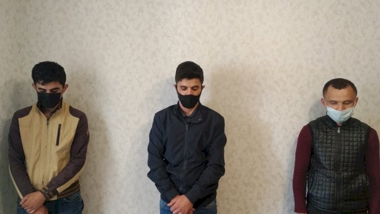   Heyvan oğruları saxlanıldı   