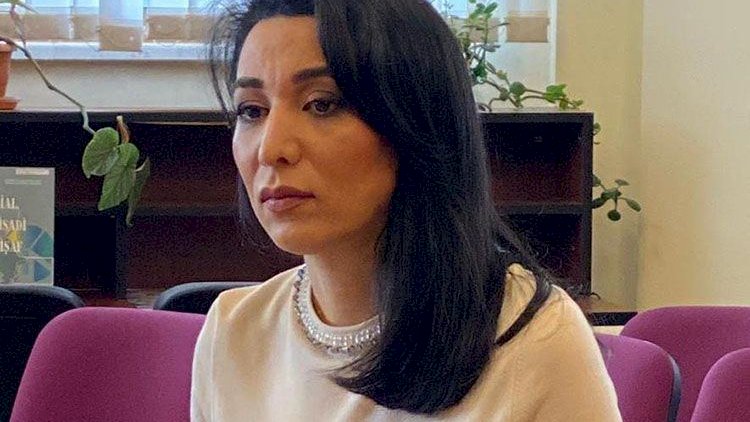    Ombudsman BMT-nin Ali Komissarına müraciət etdi -   SƏBƏB
