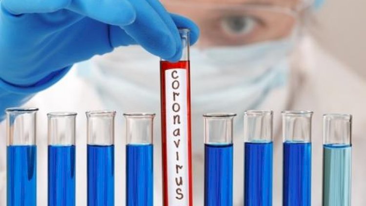    Gürcüstanda daha 1071 nəfər koronavirusa yoluxdu   