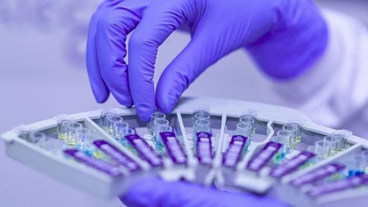    COVID-19-a qarşı yeni dərman hazırlanıb   