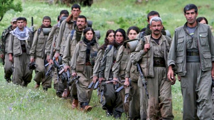    Türk ordusu 5 ayda 1162 PKK terrorçusunu məhv edib   