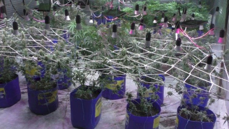    Balakəndə narkotik vasitələrin emal edildiyi laboratoriya aşkarlandı   - Fotolar