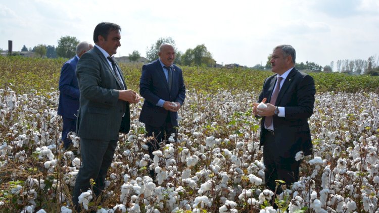    Müharibə vaxtı “gözəgörünməz” olmuşdu, pul bölünəndə yenidən zühur etdi…   