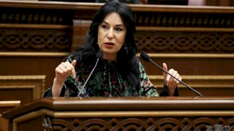    “Paşinyan barədə AŞPA-ya məlumat vermişəm” – Erməni deputat   