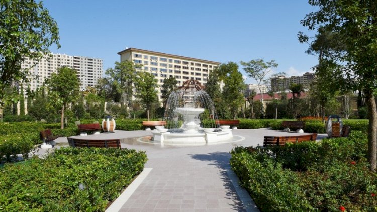    Bakıda parkda dekorativ daş uşağın üzərinə aşdı   