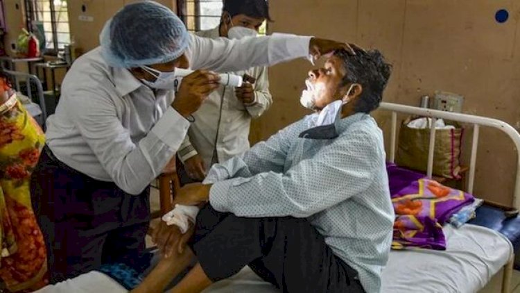    Gürcüstanda koronavirus tüğyan edir: 17 nəfər öldü   