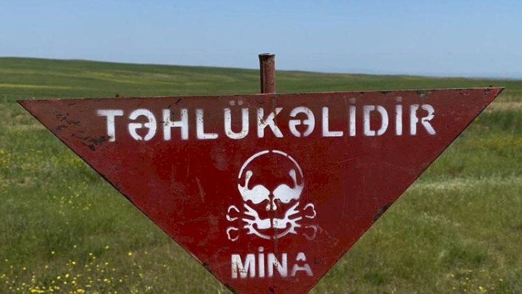    Azad olunan ərazilərdə aşkarlanan minaların sayı açıqlandı   