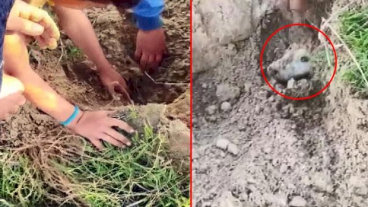   İtləri diri-diri... - Dəhşətli HADİSƏ!   