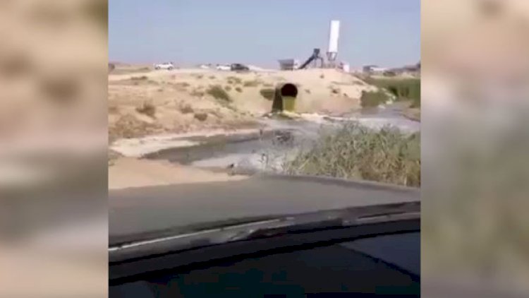    Bakıda çimərlikdə biabırçılıq - Video   