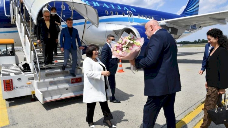    Sahibə Qafarovanın başçılığı ilə nümayəndə heyəti Macarıstana səfər etdi   