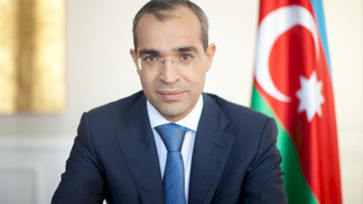    “Bu layihə Mehriban Əliyevanın təşəbbüsü ilə həyata keçirilib“ - Nazir   