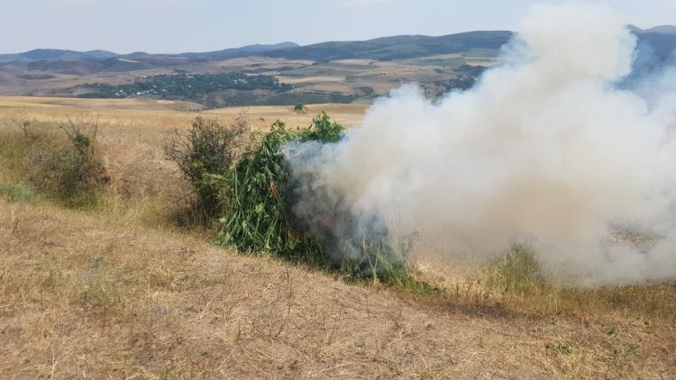    Polislər narkotikə od vurdular - Foto   