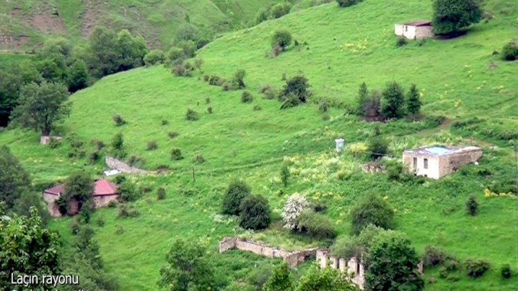    Laçının Şeylanlı kəndindən VİDEOGÖRÜNTÜLƏR   