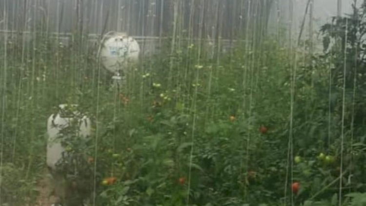    Polis İsmayıllıda əməliyyat keçirdi:   Saxlanılanlar var