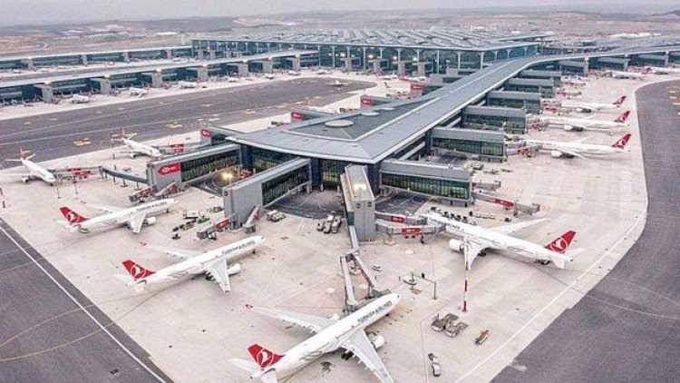    İstanbul hava limanına çəyirtkə sürüsü hücum etdi   
