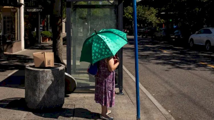    Anomal istilər Polşada 157 nəfərin həyatına son qoydu   