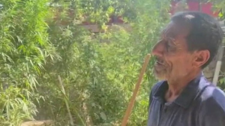   “Xaş-xaş-2021” davam edir: Abdulrəhim Axundov saxlanıldı   