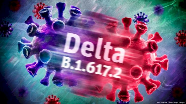    “Delta ştammı daha çox arıq və az çəkili adamları tutur“   - Rusiyalı həkim