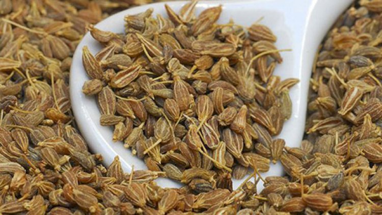    Cirə çayının möcüzələr ilə dolu FAYDALARI   