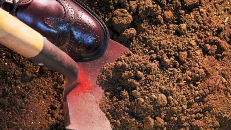    İtkin düşən taksi sürücüsünün öldürülərək basırıldığı məlum oldu   