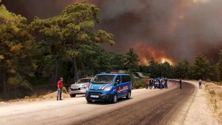    Yanğınların baş verdiyi rayonlar təbii fəlakət bölgəsi elan edildi   