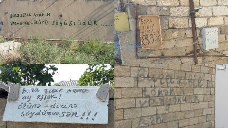    Ay  eşşək! Maariflənmənin “söyüşlü yolu”...    