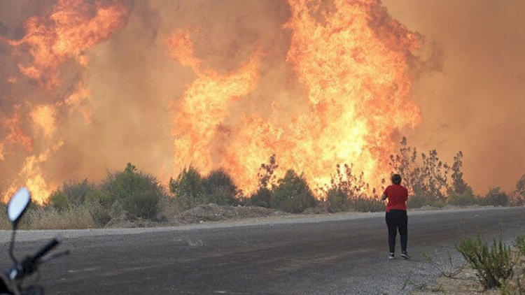    Türkiyədəki yanğınları törədənlər məlum oldu - FOTO   