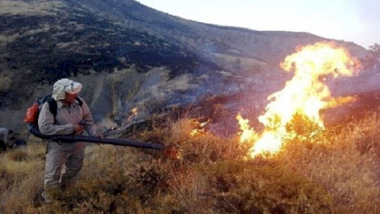   Meşə yanğınları İrana keçdi   