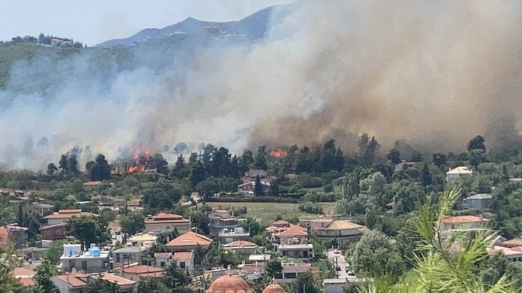    Külək meşə yanğınlarını Yunanıstana qovdu   